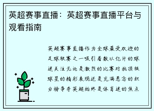 英超赛事直播：英超赛事直播平台与观看指南